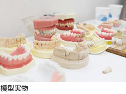 模型実物